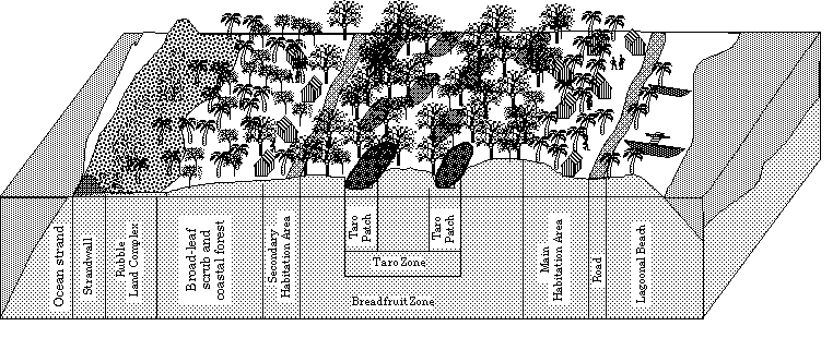 agroforestry