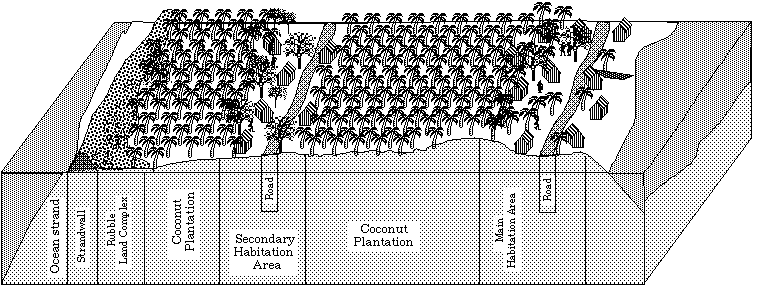 agroforestry